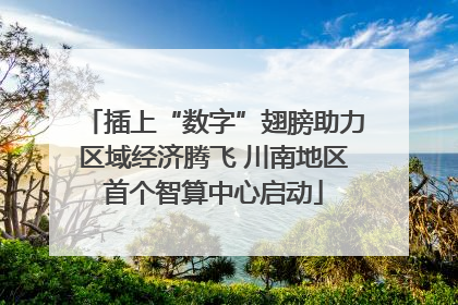 插上“数字”翅膀助力区域经济腾飞 川南地区首个智算中心启动