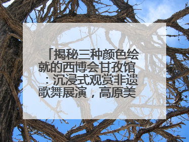 揭秘三种颜色绘就的西博会甘孜馆：沉浸式观赏非遗歌舞展演，高原美味从头吃到尾