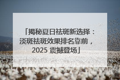 揭秘夏日祛斑新选择：淡斑祛斑效果排名靠前，2025 震撼登场