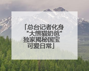 总台记者化身“大熊猫奶爸” 独家揭秘国宝可爱日常
