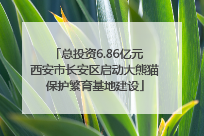 总投资6.86亿元 西安市长安区启动大熊猫保护繁育基地建设