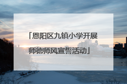 恩阳区九镇小学开展师德师风宣誓活动