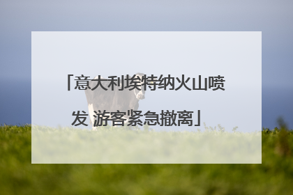 意大利埃特纳火山喷发 游客紧急撤离