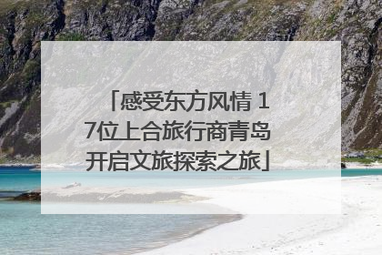 感受东方风情 17位上合旅行商青岛开启文旅探索之旅