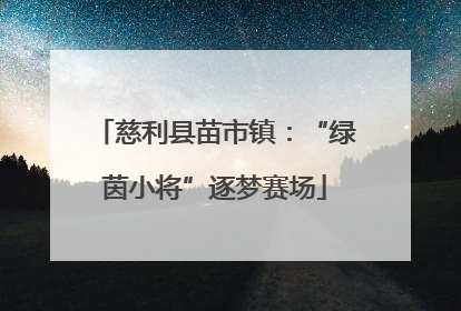 慈利县苗市镇：“绿茵小将”逐梦赛场