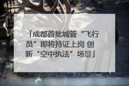成都首批城管“飞行员”即将持证上岗 创新“空中执法”场景