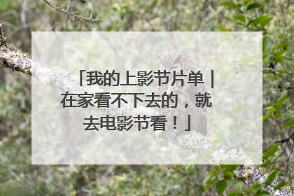 我的上影节片单｜在家看不下去的，就去电影节看！