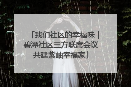 我们社区的幸福味｜碧潭社区三方联席会议共建紫岫幸福家