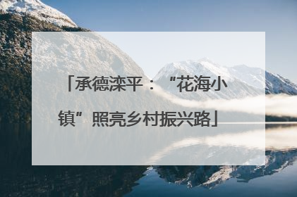 承德滦平：“花海小镇”照亮乡村振兴路
