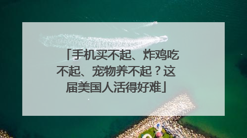 手机买不起、炸鸡吃不起、宠物养不起？这届美国人活得好难