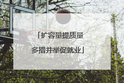 扩容量提质量 多措并举促就业