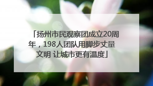 扬州市民观察团成立20周年，198人团队用脚步丈量文明 让城市更有温度