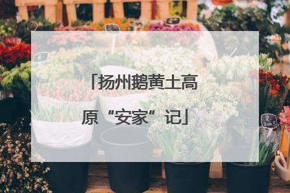 扬州鹅黄土高原“安家”记