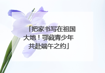 把家书写在祖国大地！鄂藏青少年共赴端午之约