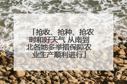 抢收、抢种、抢农时和好天气 从南到北各地多举措保障农业生产顺利进行