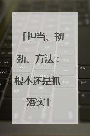 担当、韧劲、方法：根本还是抓落实