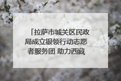 拉萨市城关区民政局成立银领行动志愿者服务团 助力西藏银发经济发展