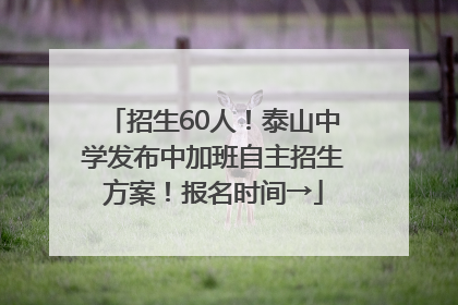 招生60人！泰山中学发布中加班自主招生方案！报名时间→