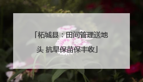 柘城县：田间管理送地头 抗旱保苗保丰收