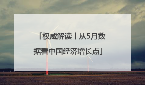 权威解读丨从5月数据看中国经济增长点