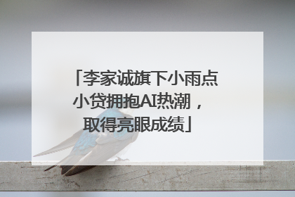 李家诚旗下小雨点小贷拥抱AI热潮，取得亮眼成绩