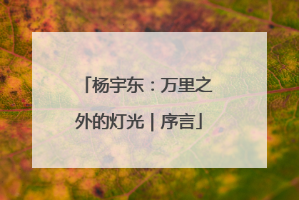 杨宇东：万里之外的灯光｜序言