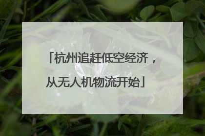 杭州追赶低空经济，从无人机物流开始