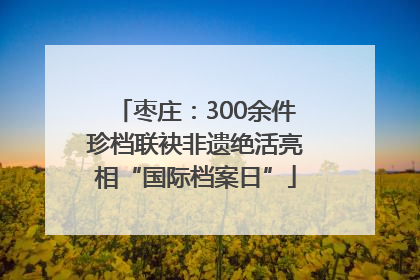 枣庄：300余件珍档联袂非遗绝活亮相“国际档案日”