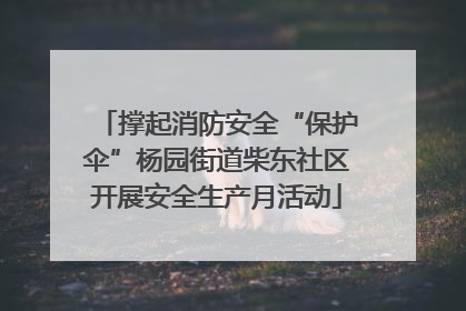 撑起消防安全“保护伞”杨园街道柴东社区开展安全生产月活动