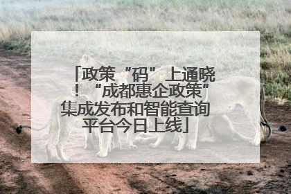 政策“码”上通晓！“成都惠企政策”集成发布和智能查询平台今日上线