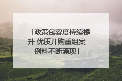 政策包容度持续提升 优质并购重组案例料不断涌现