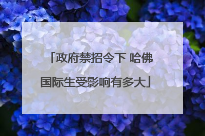 政府禁招令下 哈佛国际生受影响有多大