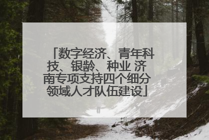 数字经济、青年科技、银龄、种业 济南专项支持四个细分领域人才队伍建设