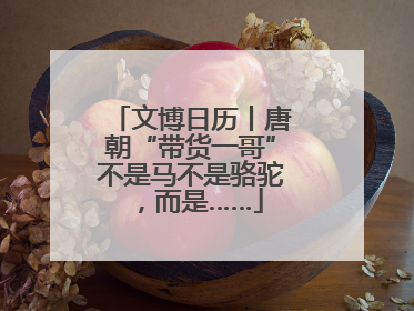文博日历丨唐朝“带货一哥”不是马不是骆驼，而是……