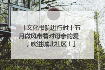 文化书院进行时丨五月微风带着对母亲的爱，吹进城北社区！