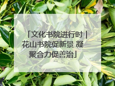 文化书院进行时｜花山书院促新景 凝聚合力促善治