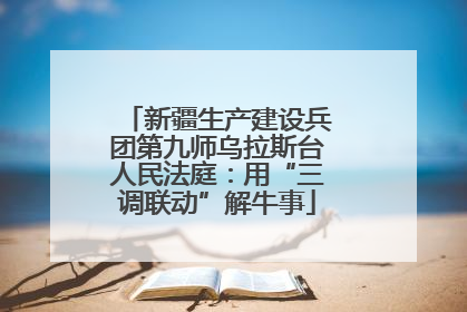 新疆生产建设兵团第九师乌拉斯台人民法庭：用“三调联动”解牛事