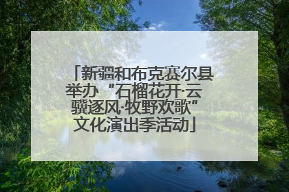 新疆和布克赛尔县举办“石榴花开·云骥逐风·牧野欢歌”文化演出季活动