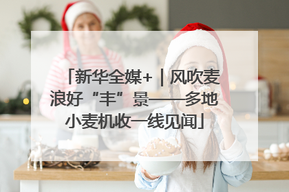 新华全媒+｜风吹麦浪好“丰”景——多地小麦机收一线见闻