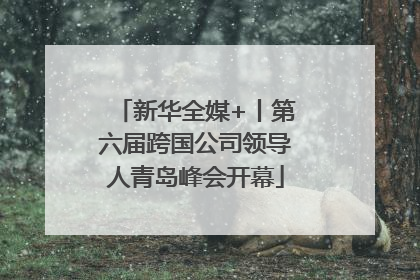 新华全媒+丨第六届跨国公司领导人青岛峰会开幕