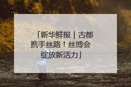 新华鲜报｜古都携手丝路！丝博会绽放新活力