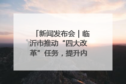 新闻发布会｜临沂市推动“四大改革”任务，提升内部审计监督效能
