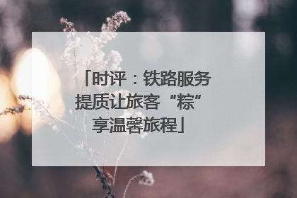 时评：铁路服务提质让旅客“粽”享温馨旅程