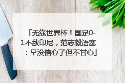 无缘世界杯！国足0-1不敌印尼，范志毅语塞：早没信心了但不甘心