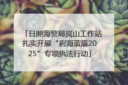 日照海警局岚山工作站扎实开展“碧海蓝盾2025”专项执法行动