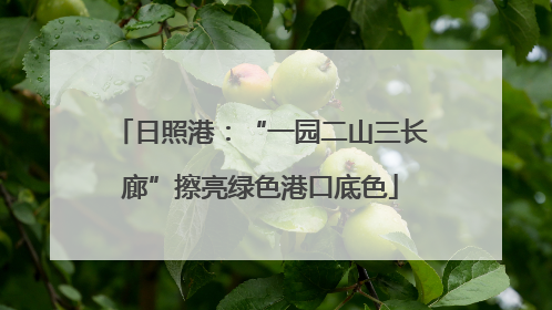 日照港：“一园二山三长廊”擦亮绿色港口底色