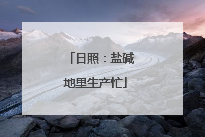 日照：盐碱地里生产忙