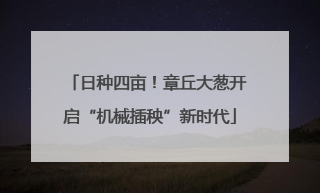 日种四亩！章丘大葱开启“机械插秧”新时代