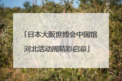 日本大阪世博会中国馆河北活动周精彩启幕
