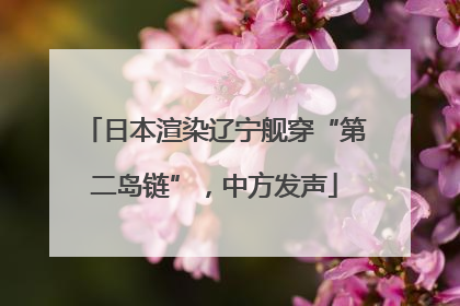 日本渲染辽宁舰穿“第二岛链”，中方发声
